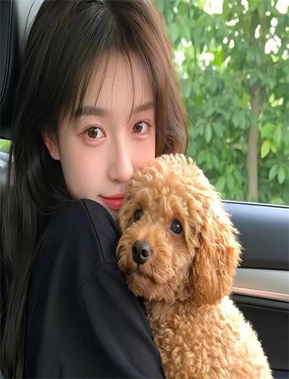 《日常工作第3季》适合什么人观看？目标观众群体分析